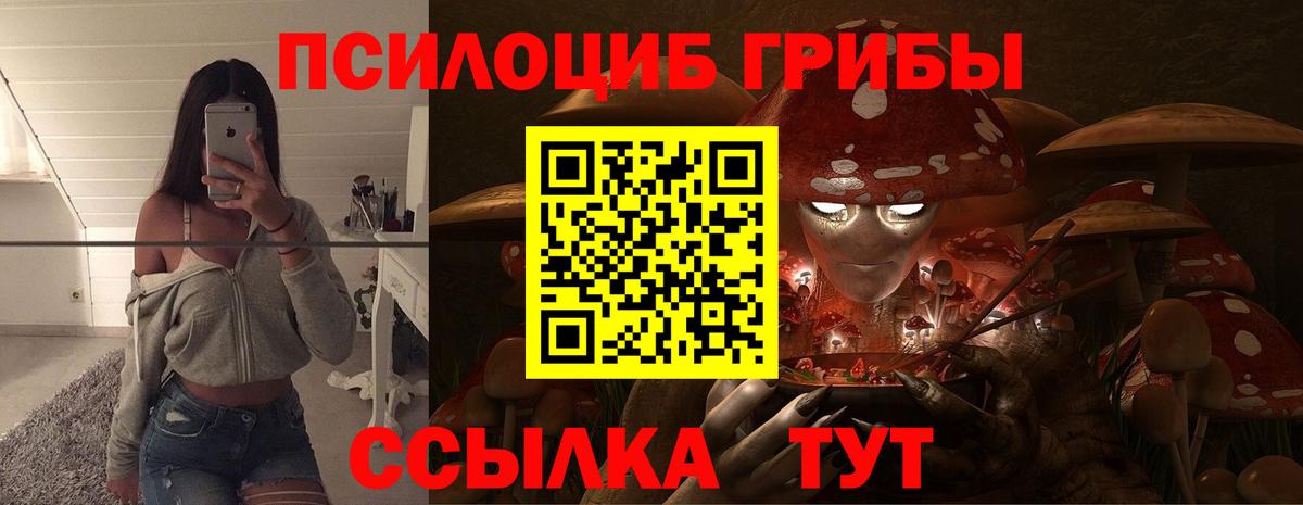 Псилоцибиновые грибы GOLDEN TEACHER Нягань