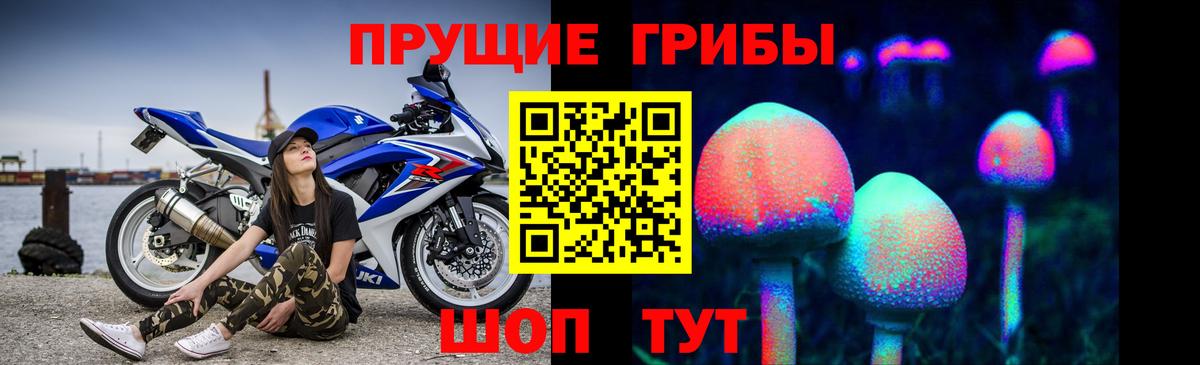 Псилоцибиновые грибы MAGIC MUSHROOMS  Вход с VPN  Псилоцибиновые грибы Psilocybine cubensis  Нягань 